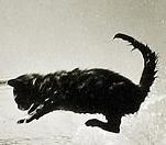 Прикрепленное изображение: 5636f50f1f144.jpg